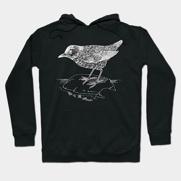 Cozy bird Hoodie by DeviAprillia_store